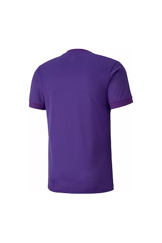 Puma Teamgoal 23 Jersey Erkek Futbol Forması 70417110 Mor