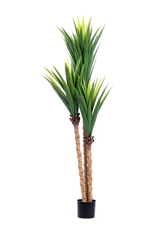 The Mia Yapay Yucca Ağacı Yeşil 180 Cm