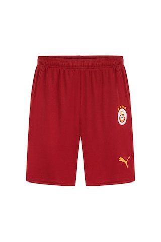 Puma Galatasaray S.k. 24/25 Erkek İç Saha Futbol Şortu 779674 01