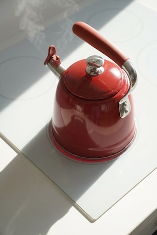 Teatime Paslanmaz Çelik Düdüklü Su Isıtıcısı Kırmızı - 3 L Diğer