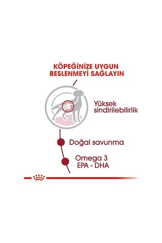 Royal Canin Medium Adult Tavuklu Yetişkin Köpek Maması 10 x 140 G