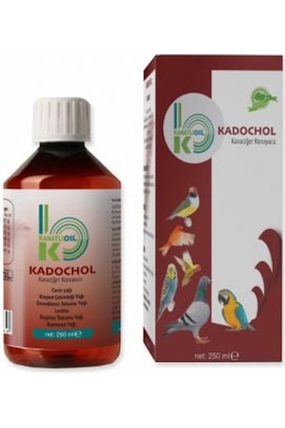 Kanatlı Oil Kadochol Karaciğer Koruyucu 250 ML Kanatlı Oil Kadochol Karaciğer Koruyucu 250 ML