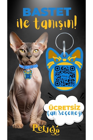 Petjoo 1.Bastet Sarı-Mavi Qr'lı Kedi Künyesi