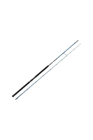 Savage Gear SGS2 Shore Jigging 290 cm 20-80 gr Shore Jig Kamışı