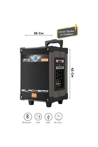 Taşınabilir Büyük Boy Bluetooth Mikrofonlu Hoparlör Lt-908