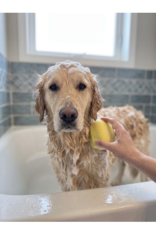 Şampuan Hazneli Kedi Köpek Yıkama Fırçası - Canlı Sarı Yumuşak Silikon Masaj Aparatı