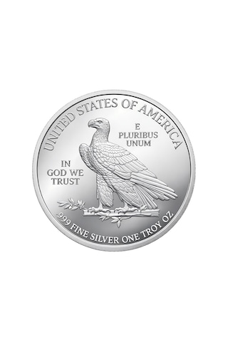 AgaKulche Amerikan Kartalı Gümüş Sikke Coin