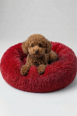 United Colors Of Benetton Bntmkt-0012-rd Uzun Kürklü Donut Kedi&köpek Yatağı Kırmızı 45 Cm