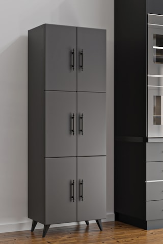 Ae-3010 Nehir Antrasit Gri Çok Amaçlı Mutfak Dolabı & Banyo Dolab