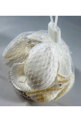 %100 NATUREL DOĞAL GERÇEK DENİZ KABUĞU 500 Gram -MMM4767