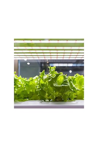 Bitki Led Aydınlatma, Sera, Hidroponik Bitki Aydınlatma, Sera Led Aydınlatma - B-85