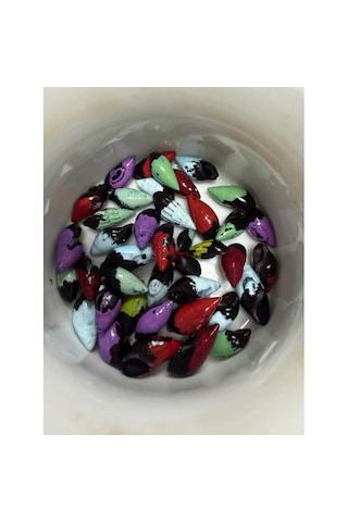 Transgenik Renkli Bonibon Salyangoz 5 Adet 1-2 Cm Yosun Yiyici