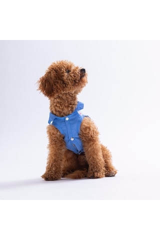 Ruby Slice Denim Karpuz Desenli Kot Kedi Köpek Gömleği-kedi Köpek Kıyafeti-kedi Gömlek-köpek Gömlek