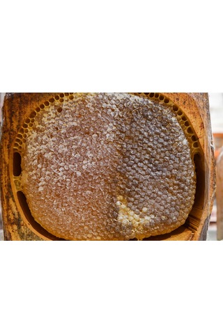 Balsev Kütük Karakovan Petek Balı 1 KG