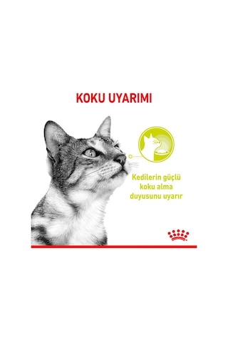 Royal Canin Sensory Smell Gravy Balıklı Yetişkin Kedi Konservesi 85 Gr X 12 Adet