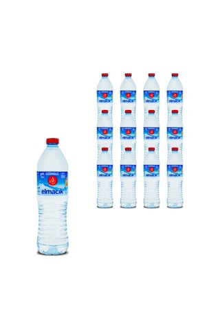 Atatürk Orman Çiftliği Elmacık Su 24 x 1 L