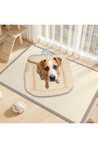 Suntek Kapalı Kediler Için Kedi Yatağı Erteleme Sarı