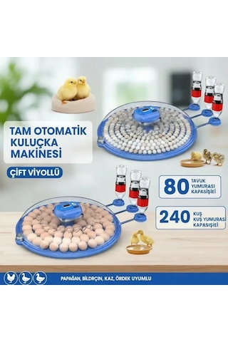 Tam Otomatik Kuluçka Makinesi Çift Viyollü - 80 Tavuk Ve 240 Bıldırcın Kapasiteli Bx-316172