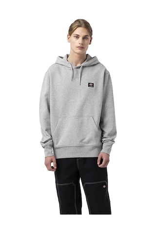 Dickies Dıckıes Mount Vısta Hoodıe 20195 Gri