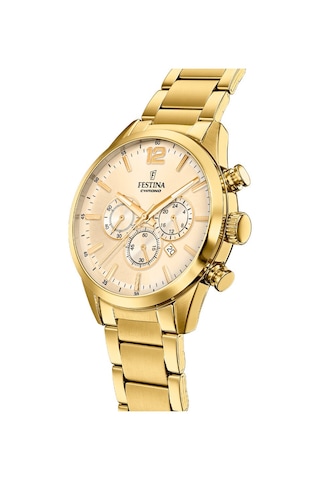 Festına F20633/4 Tımeless Chronograph Erkek Kol Saati Gri