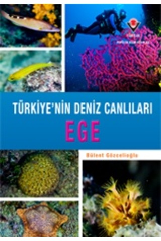Tübitak Yayınları Türkiye'Nin Deniz Canlıları Ege Ciltli Kapak Tübitak Yayınları Türkiye'Nin Deniz Canlıları Ege Ciltli Kapak