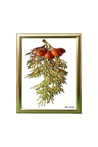 Hediyelik Çerçeve Ev Home Ofis Kişiye Özel Resim Çerçevesi Masaüstü 25x30 25x30-lam22-gümüş