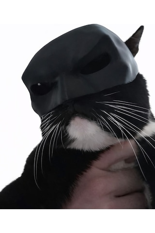 Kedi & Küçük Evcil Hayvanlar İçin Siyah Maske Dekoratif Eğlenceli Fotoğraf Maskesi Hafif