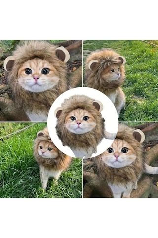 Traje Den Kedi Kostümü Aslan Yelesi