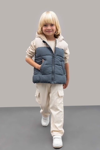 Defacto Erkek Bebek Su İtici Polar Astarlı Blok Renk Desenli Kapüşonlu Şişme Yelek A2848A524AUGR314 Gri