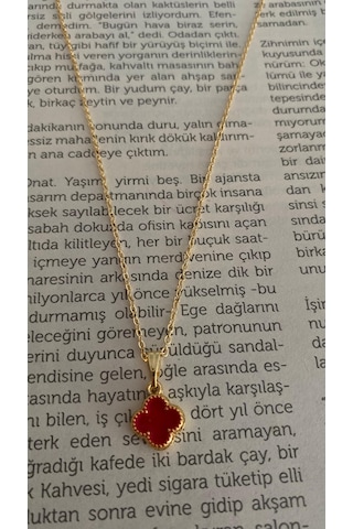 İlknur Doğal Taş Evi Çelik Kaplama Yonca Kolye