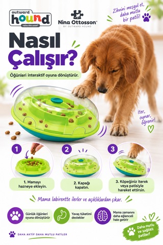 Outward Hound Wobble Bowl İnteraktif Köpek Zeka Oyuncağı Ödül Mama Haznesi Ve Yavaş Beslenme Kabı
