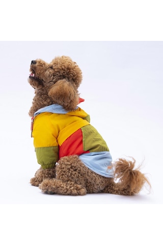 Vivid Kauai Köpek Mont Köpek Yağmurluk Köpek Kıyafeti Köpek Elbisesi