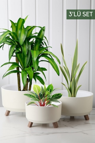Nandy Home Tripot Model Saksı Seti Beyaz 3'lü
