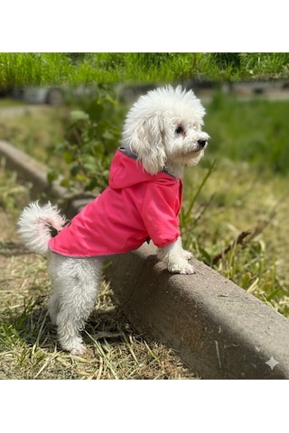 Kedi - Köpek Kıyafeti Kapşonlu Pembe Yağmurluk & Mont