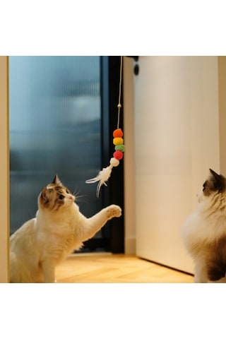 Elastik Kendinden Yapışkanlı Solucan Kedi Oltası 5060