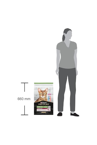 Sterilised Morina & Alabalıklı Kuru Kedi Maması 10 Kg