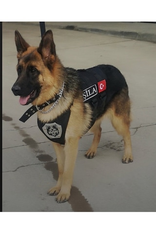 MgTasma K9 Göğüs Ve Sırt Tasması Siyah MgTasma K9 Göğüs Ve Sırt Tasması Siyah