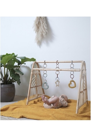 Bibs Baby Bitie Diş Kaşıyıcı Heart Mustard 3 Ay + Çok Renkli