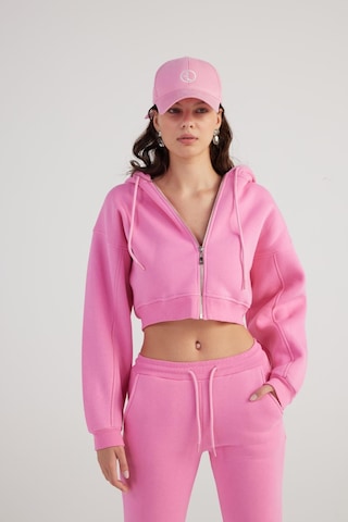Holly Lolly Kadın Pembe Kapüşonlu Uzun Kol Fermuarlı Crop Mixed Sweat