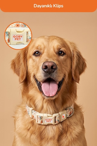 Köpekler İçin Dayanıklı Ve Güvenli, Desenli Boyun Tasması 25mm Krem