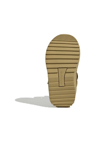 Brostr/cgreen/golbeı Adidas Bebek Günlük Ayakkabı Superstar Winter Trek I Jq0341 Taba