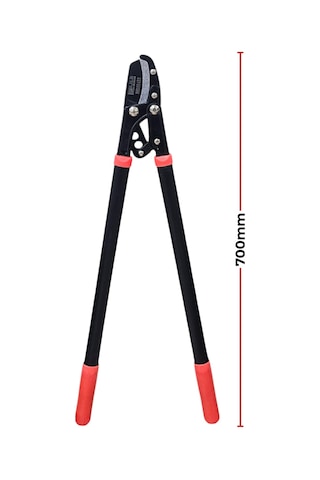 Fixonic B.h.d Bhd00452 5cm Dal Budama Makası