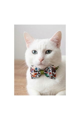 Kedi Papyon Tasma Yeşil