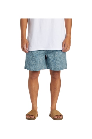Quıksılver Quiksilver Erkek Walkshort Taxer Açık Mavi Günlük Giyim Bge6 Çok Renkli