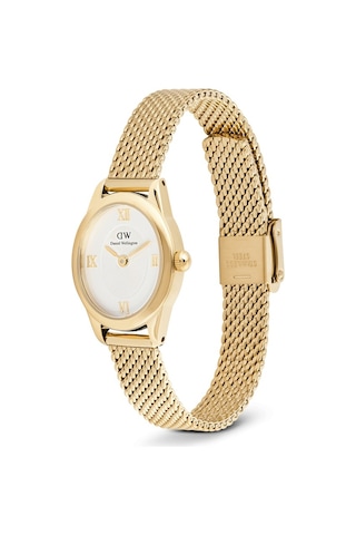 Daniel Wellington Dw00600939 Kadın Kol Saati Diğer
