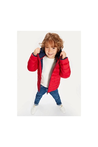 LC Waikiki Lcw Kids Kırmızı Kapüşonlu Uzun Kollu Erkek Çocuk Şişme Mont Kırmızı Süet