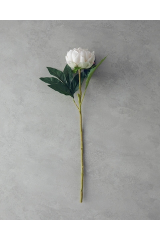 English Home Peony Tek Dal Yapay Çiçek Şampanya Şampanya