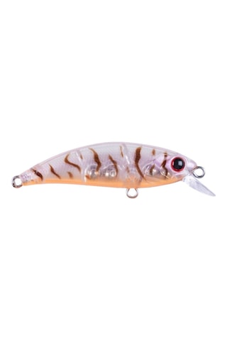Hanfish Zıpır 50 Kg Spk-20 Chinu Bait