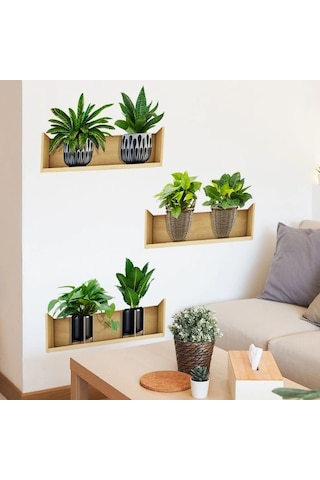 Buğz Raflı Bitki Tasarımlı Yapışkanlı Sticker 20 30 Cm 3lü Set