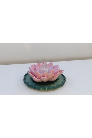 Lotus Pembe Mumuluk Pembe-yeşil